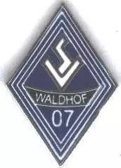 футбол.клуб Вальдхоф Манхайм Німеч.1 ЕМАЛЬ/Waldhof Mannheim,Germany football pin