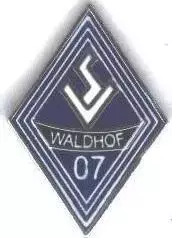 футбол.клуб Вальдхоф Манхайм Німеч.1 ЕМАЛЬ/Waldhof Mannheim,Germany football pin