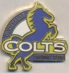футбол.клуб Камбернолд (Шотландія) ЕМАЛЬ/Cumbernauld Colts,Scotland football pin