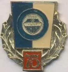 футбол.клуб Татабанья (Угорщина)1 важмет / Tatabanyai BSC,Hungary football badge