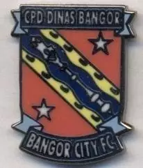 футбол.клуб Бангор Сіті (Уельс)2 ЕМАЛЬ / Bangor City FC,Wales football pin badge