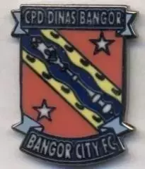 футбол.клуб Бангор Сіті (Уельс)2 ЕМАЛЬ / Bangor City FC,Wales football pin badge