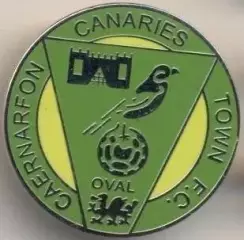 футбол.клуб Карнарвон (Уельс)1 ЕМАЛЬ / Caernarfon Town FC, Wales football badge