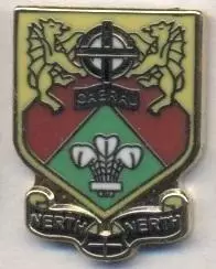 футбольний клуб Кайрау Ілі (Уельс) ЕМАЛЬ/Caerau Ely AFC,Wales football pin badge