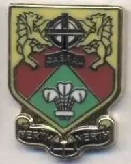 футбольний клуб Кайрау Ілі (Уельс) ЕМАЛЬ/Caerau Ely AFC,Wales football pin badge