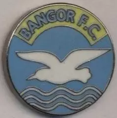 футбол.клуб Бангор (Півн.Ірландія)3 ЕМАЛЬ/Bangor FC,N.Ireland football pin badge