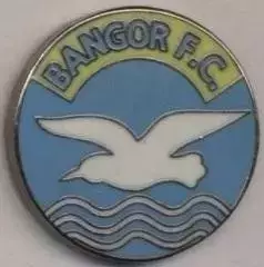 футбол.клуб Бангор (Півн.Ірландія)3 ЕМАЛЬ/Bangor FC,N.Ireland football pin badge