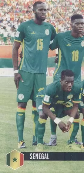 постер А4 футбол зб. Сенегал 2018 Кікер / Senegal national football team poster
