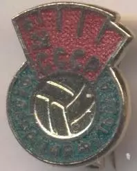 срср=ссср, федерація футболу, ЕМАЛЬ / ussr football federation enamel badge