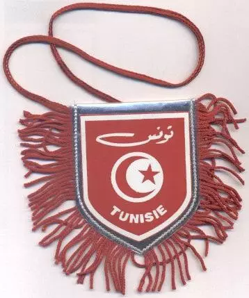 вимпел 9х9 держава Туніс / Tunisia state pennant