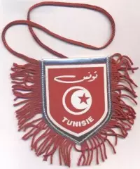 вимпел 9х9 держава Туніс / Tunisia state pennant