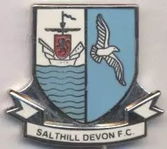 футбол.клуб Солтхілл (Ірландія)2 ЕМАЛЬ / Salthill Devon,Rep.Ireland football pin