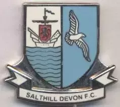 футбол.клуб Солтхілл (Ірландія)2 ЕМАЛЬ / Salthill Devon,Rep.Ireland football pin