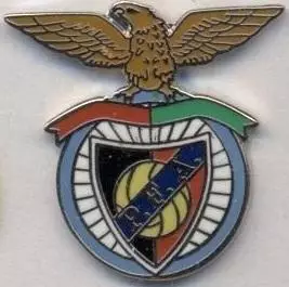 футбол.клуб Пенья Енкарнада (Андорра1 ЕМАЛЬ/Penya Encarnada,Andorra football pin