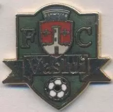 футбол.клуб Васлуй (Румунія)1 ЕМАЛЬ /FC Vaslui,Romania football enamel pin badge