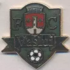 футбол.клуб Васлуй (Румунія)1 ЕМАЛЬ /FC Vaslui,Romania football enamel pin badge