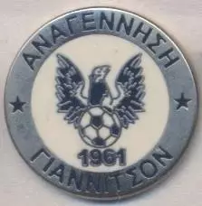 футбол.клуб Яніца (Греція) ЕМАЛЬ /Anagennisi Giannitsa,Greece football pin badge