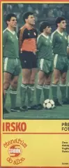 постер А4 футбол зб.Ірландія 1988 /Rep. of Ireland national football team poster