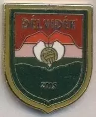 Дельвідейк, федерація футболу (не-ФІФА) ЕМАЛЬ / Delvidek football federation pin