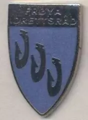 О-в Фрьоя,федерація футболу (не-ФІФА) ЕМАЛЬ /Froya football federation pin badge