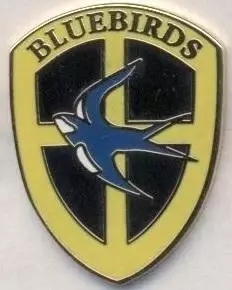 футбол.клуб Кардіфф Сіті (Уельс->Англія3 ЕМАЛЬ/Cardiff City,England football pin