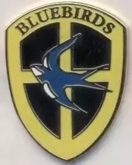футбол.клуб Кардіфф Сіті (Уельс->Англія3 ЕМАЛЬ/Cardiff City,England football pin