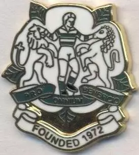 футбольний клуб Корінтіан (Англія) ЕМАЛЬ/Corinthian FC Kent,England football pin