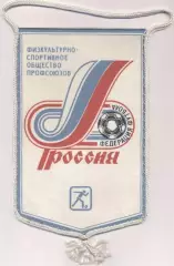 вимпел 23х13 федер.футболу Росія профспілки / Russia*football federation pennant