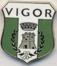 футбол.клуб Вігор Ламеція (Італія) ЕМАЛЬ /Vigor Lamezia,Italy football pin badge