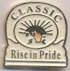 футбол.клуб Классік (ПАР) важмет/Tembisa Classic,South Africa football pin badge