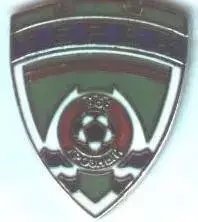 футбол.клуб Терек Грозный (Рос.)1 ЕМАЛЬ / Terek Groznyi, Rus. football pin badge