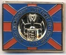 Чемп-т Світу ЧС-1966 емблема ЕМАЛЬ /World cup England football replica pin badge
