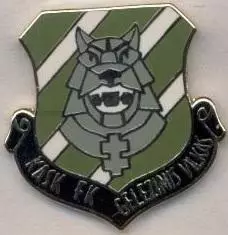 футбол.клуб Гележиніс Вілкас Литва ЕМАЛЬ/Gelezinis Vilkas,Lithuania football pin