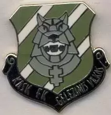 футбол.клуб Гележиніс Вілкас Литва ЕМАЛЬ/Gelezinis Vilkas,Lithuania football pin