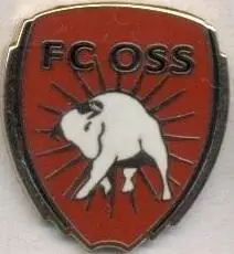 футбол.клуб Осс (Нідерланди) ЕМАЛЬ /FC Oss,Netherlands football enamel pin badge