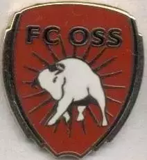 футбол.клуб Осс (Нідерланди) ЕМАЛЬ /FC Oss,Netherlands football enamel pin badge