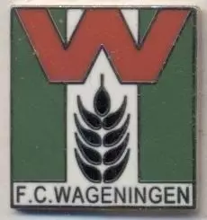 футбол.клуб Вагенінген (Нідерланди) ЕМАЛЬ/FC Wageningen,Netherlands football pin