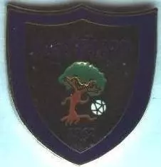 футбол.клуб Фаетано (Сан-Марино)2 ЕМАЛЬ/SC Faetano,San Marino football pin badge