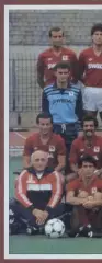 постер А3 футбол Торіно (Італія) 1984 / Torino Calcio,Italy football club poster