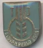 футбол.клуб Слован ДШ.(Словач.) важмет/Slovan Duslo Sala,Slovakia football badge