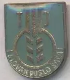 футбол.клуб Слован ДШ.(Словач.) важмет/Slovan Duslo Sala,Slovakia football badge