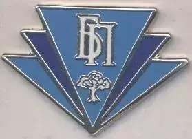 футбол.клуб Бумпром Гомель (Білорусь)1 ЕМАЛЬ /Bumprom Gomel,Belarus football pin