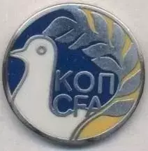 Кіпр,федерація футболу №1 ЕМАЛЬ/Cyprus football association federation pin badge