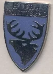О-в Хітра,федерація футболу (не-ФІФА) ЕМАЛЬ /Hitra football federation pin badge