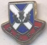 Шотландія, федерація футболу,№11 ЕМАЛЬ /Scotland football assn. federation badge