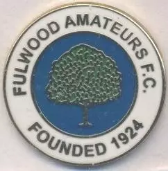 футбол.клуб Фулвуд (Англія) ЕМАЛЬ/Fulwood Amateurs FC,England football pin badge