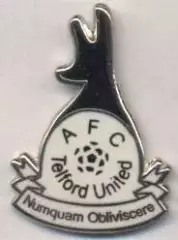 футбол.клуб Телфорд (Англія)2 ЕМАЛЬ/Telford United FC,England football pin badge