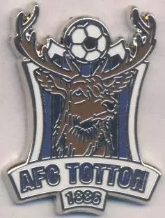 футбол.клуб Тоттон (Англія) ЕМАЛЬ / AFC Totton,England football enamel pin badge