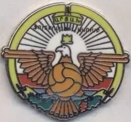 футбол.клуб Лернаїн Арцах (Вірменія1 ЕМАЛЬ/Lernayin Artsakh,Armenia football pin