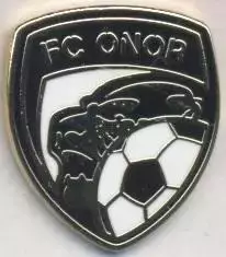 футбольний клуб Онор Єреван (Вірменія) ЕМАЛЬ /FC Onor,Armenia football pin badge